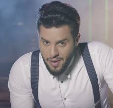 محمد السالم الجكارة